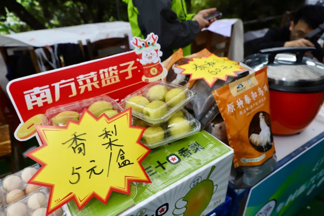 1764556640091 202403121748344834